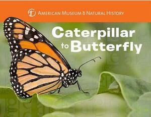 Caterpillar to Butterfly by Melissa Stewart, American Museum of Natural History