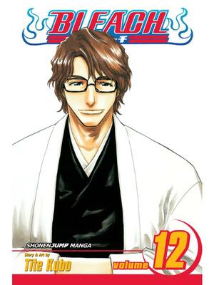 Bleach, Vol. 12: Flower on the Precipice by Tite Kubo