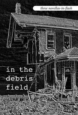 In the Debris Field: Three Novellas-in-Flash by Jack Remiel Cottrell, Luke Whisnant, Victoria Melekian