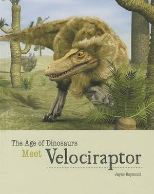 Meet Velociraptor by Jayne Raymond