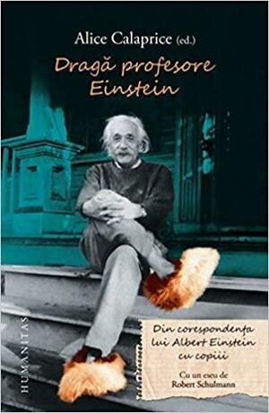 Dragă profesore Einstein: din corespondența lui Albert Einstein cu copiii by Liliana Donose Samuelsson, Evelyn Einstein, Alice Calaprice