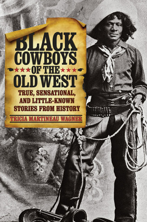 Black Cowboys of the Old West: True, Sensational, and Little-Known Stories from History by Tricia Martineau Wagner