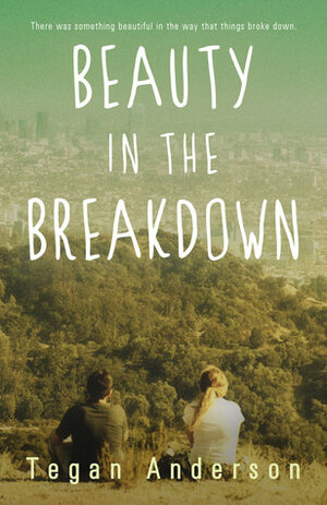 Beauty in the Breakdown by Tegan Anderson