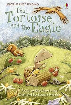 Tortoise And The Eagle by Rob Lloyd Jones