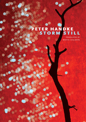 Storm Still by Peter Handke, Martin Chalmers