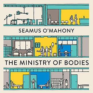 The Ministry of Bodies by Seamus O'Mahony