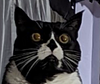 jubjubbby's profile picture