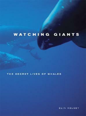 Watching Giants: The Secret Lives of Whales by Elin Kelsey, Doc White, François Gohier
