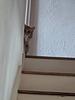 ladynashington's profile picture