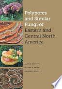 Polypores and Similar Fungi of Eastern and Central North America by Alan E. Bessette, Dianna Smith, Arleen R. Bessette