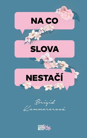 Na co slova nestačí by Brigid Kemmerer