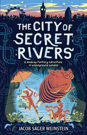 The City Of Secret Rivers by Jacob Sager Weinstein