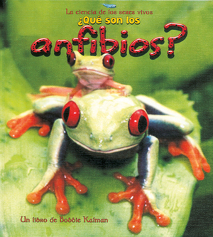 Que Son los Anfibios? by Bobbie Kalman, Jacqueline Langille