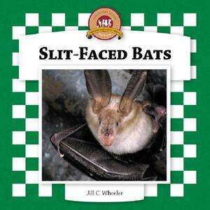 Slit-Faced Bats by Jill C. Wheeler