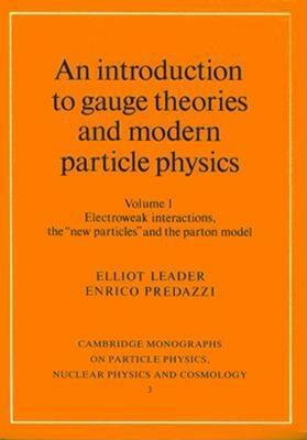 An Introduction to Gauge Theories and Modern Particle Physics 2 Volume Paperback Set by Elliot Leader, Enrico Predazzi