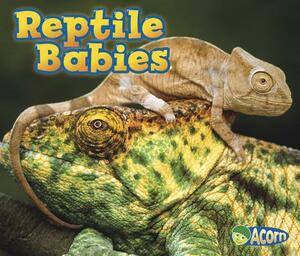 Reptile Babies by Catherine Veitch