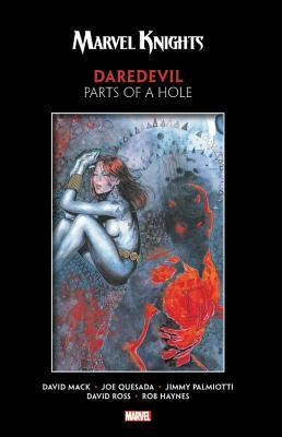 Daredevil: Parts of a Hole by Jimmy Palmiotti, David W. Mack