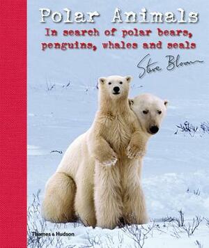 Polar Animals: In Search of Polar Bears, Penguins, Whales and Seals by Steve Bloom