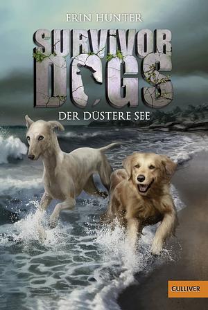 Der Düstere See by Erin Hunter