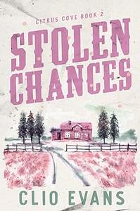 Stolen Chances by Clio Evans