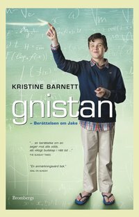 Gnistan : Berättelsen om Jake by Kristine Barnett