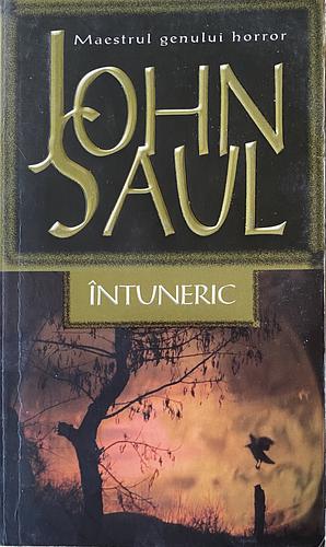 Intuneric by John Saul