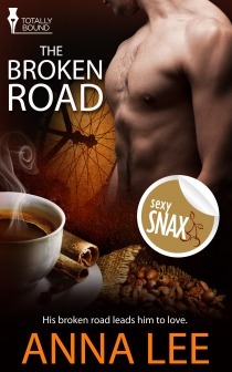 The Broken Road by Anna Lee