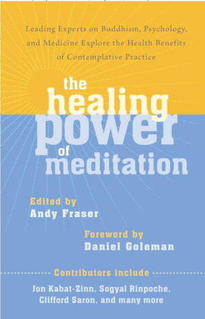 The Healing Power of Meditation: Leading Experts on Buddhism, Psychology, and Medicine Explore the Health Benefits of Contemplative Practice by Andrew Fraser