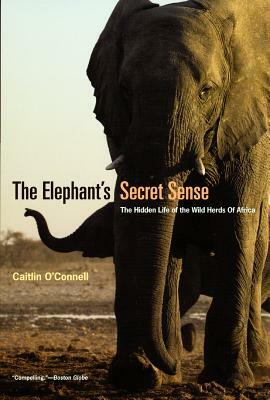 The Elephant's Secret Sense: The Hidden Life of the Wild Herds of Africa by Caitlin O'Connell