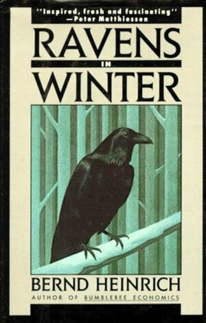 Ravens in Winter by Bernd Heinrich, Louise Fili