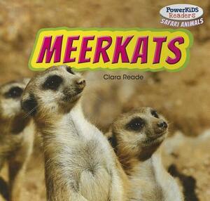 Meerkats by Clara Reade