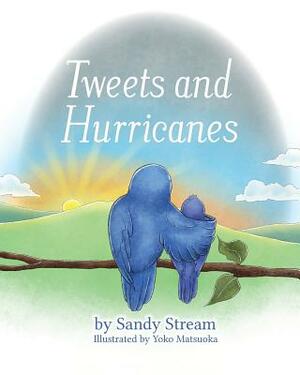 Tweets and Hurricanes by Sandy Stream