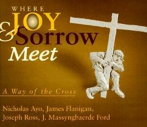 Where Joy & Sorrow Meet: A Way Of The Cross by Joseph Ross, Nicholas Ayo