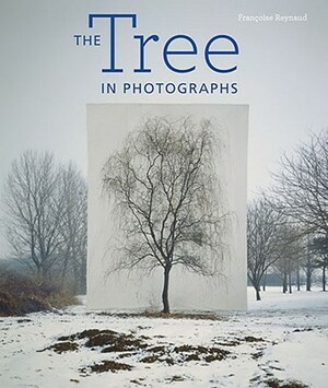 The Tree in Photographs by Francoise Reynaud