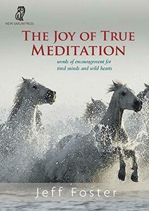 The joy of True Meditation: Words of Encouragement for Tired Minds and Wild Hearts by Jeff Foster