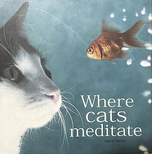 Where Cats Meditate by David Baird