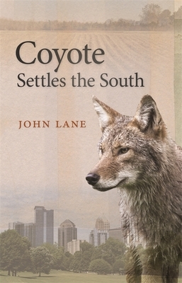 Coyote Settles the South by John Lane