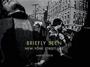 Briefly Seen: New York Street Life by Harvey Stein