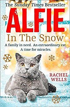 Alfie in the Snow by Rachel Wells