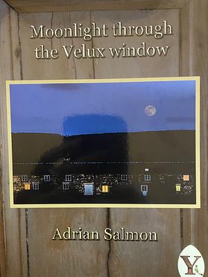 Moonlight through the Velux window by Adrian Salmon