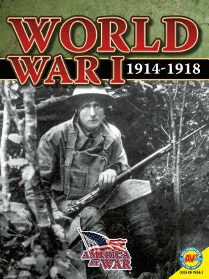 World War I: 1914-1918 by Steve Goldsworthy