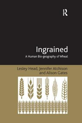 Ingrained: A Human Bio-geography of Wheat by Lesley Head, Jennifer Atchison