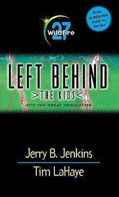 Wildfire: Into the Great Tribulation by Chris Fabry, Jerry B. Jenkins, Jerry B. Jenkins
