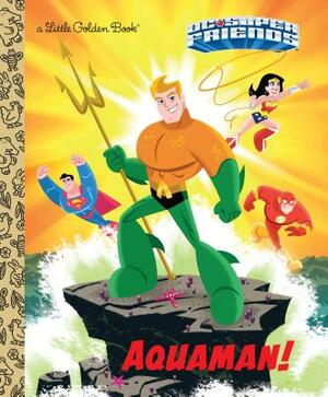 Aquaman! (DC Super Friends) by Frank Berrios