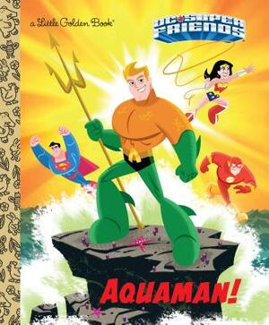 Aquaman! (DC Super Friends) by Frank Berrios