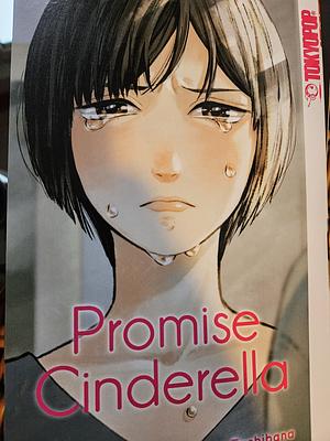 Promise Cinderella 2 by Oreco Tachibana
