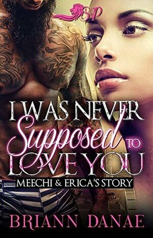 I Was Never Supposed to Love You: Meechi and Erica's Story by BriAnn Danae