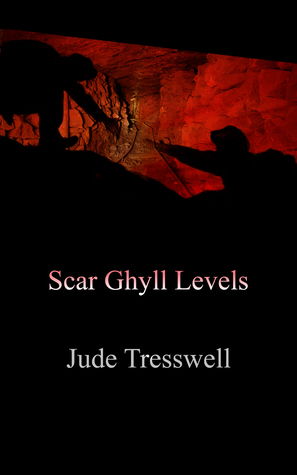 Scar Ghyll Levels by Jude Tresswell