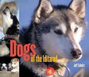 Dogs of the Iditarod by Jeff Schultz