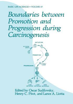 Boundaries Between Promotion and Progression During Carcinogenesis by 